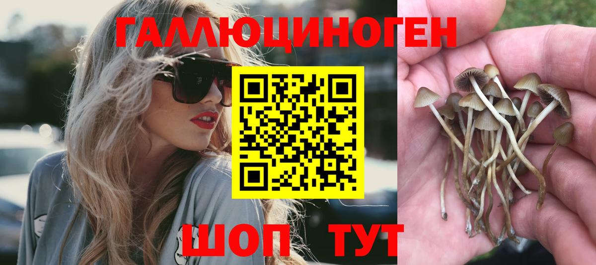 Избербаш  Псилоцибиновые грибы мицелий  Вход с VPN 